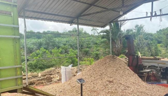 Dari Pembatas Lahan Jadi Sumber Pendapatan, Biomassa Dorong Energi Bersih dan Lapangan Kerja