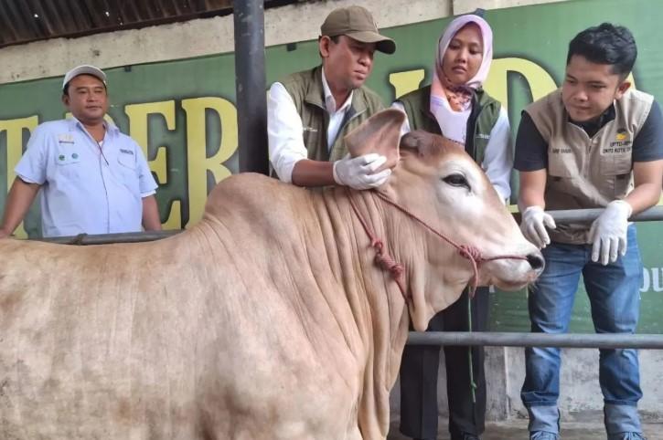 Pemerintah Kota Depok Temukan Ratusan Hewan Kurban Tidak Memenuhi Syarat Kesehatan