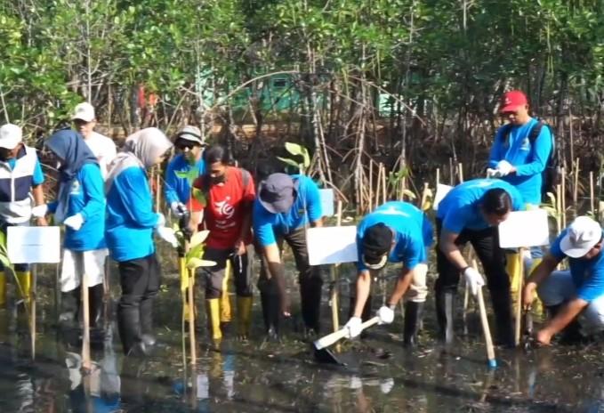 Pemkab Batang Tanam Mangrove untuk Pulihkan Ekosistem Pesisir dan Tekan Emisi Karbon