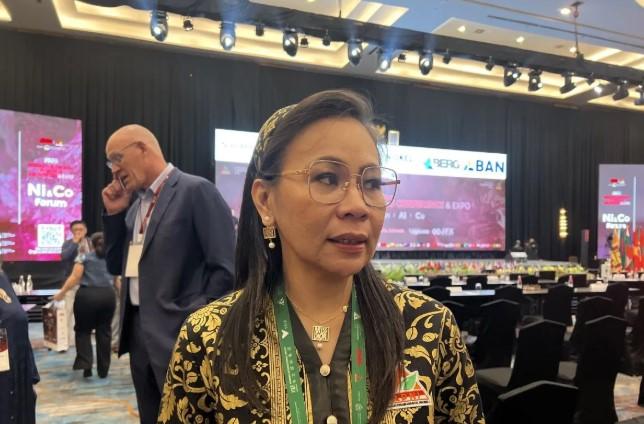 APNI Anggap Pengurangan Produksi Nickel Pig Iron oleh Tsingshan sebagai Langkah Rasional