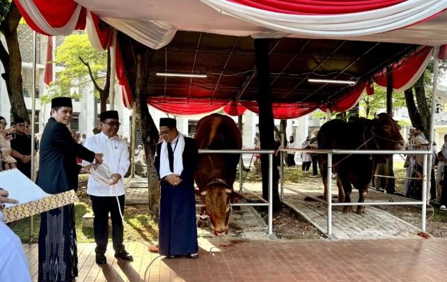 Sapi Presiden Bobot 1,25 Ton, Anak Yatim Jabodetabek Diundang Makan Bersama di Istiqlal