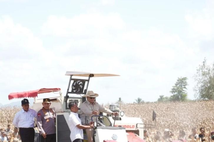 Presiden Prabowo Pimpin Panen Raya Jagung di Kalbar, Gubernur Harap Kesejahteraan Petani Meningkat