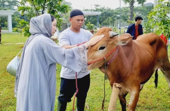 Kurban di Masjid AT-Thohir meningkat, wujudkan harapan untuk masyarakat makmur dan sejahtera