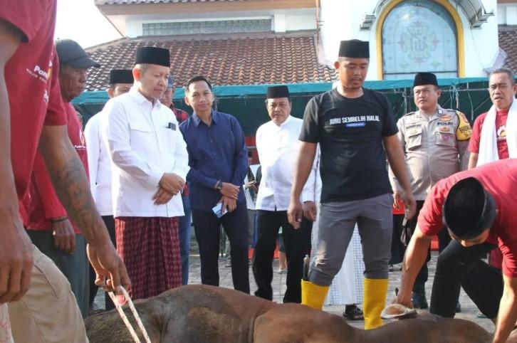 Distribusi Merata Daging Kurban di Kepulauan Seribu Diapresiasi Bupati
