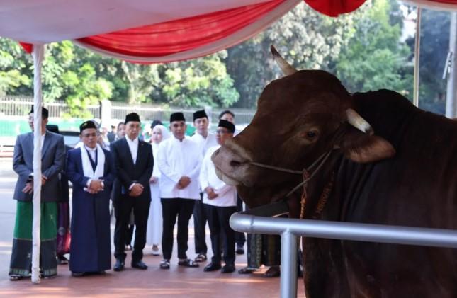 Ahmad Muzani: Pembelian Sapi oleh Presiden Prabowo Jadi Kehormatan bagi Peternak Indonesia