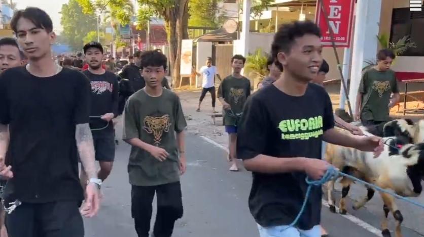Tradisi Arak-Arakan Hewan Kurban Warnai Perayaan Idul Adha di Kampung Temenggungan
