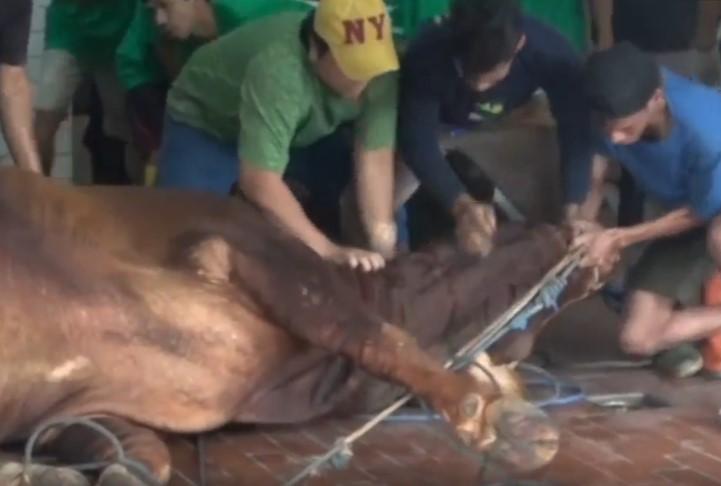136 Hewan Kurban Disembelih di Masjid Istiqlal, Termasuk dari Presiden Prabowo dan Wapres Gibran