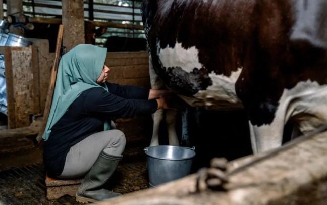 Hari Susu Sedunia, Momentum Peningkatan Gizi Anak Lewat Nutrisi Berkualitas