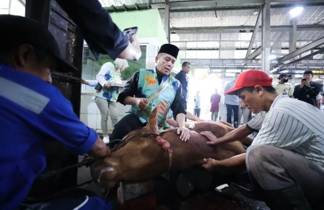 Erwin: Kurban Bukan Sekadar Ritual, tapi Wujud Ketakwaan dan Pengorbanan