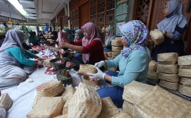 Dari Nabi Ibrahim hingga Enzim: Ibadah Kurban sebagai Harmoni Ilmu dan Ketakwaan