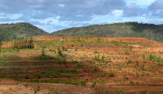 Krisis Pascatambang di Raja Ampat: Saatnya Pulihkan Tanah dengan Pendekatan Menyeluruh