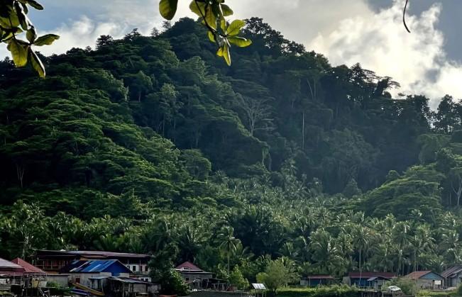 Tambang Nikel di Raja Ampat Dikecam Warganet: Keindahan Alam Terancam Jadi Kawasan Industri