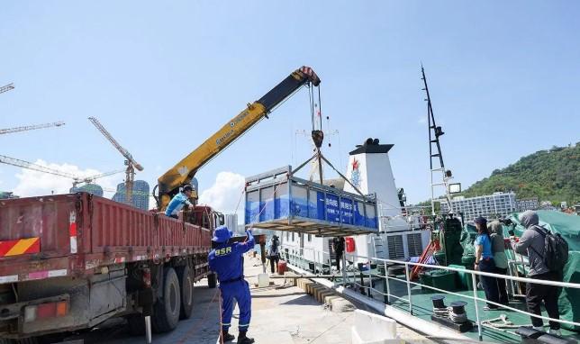 Setelah Jalani Rehabilitasi, Lumba-lumba Bergigi Kasar Jenis Steno bredanensis Kembali ke Habitat Alaminya