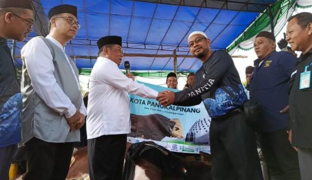 Sapi Berukuran Jumbo Disalurkan ke 8 Kabupaten/Kota