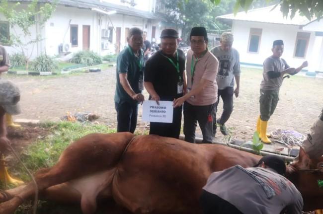 MN KAHMI Catat Rekor Kurban Idul Adha 2025, Salurkan 750 Kantong Daging ke Masyarakat