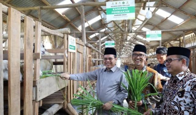 Baznas RI Dorong Kemandirian Ekonomi Mustahik lewat Balai Ternak di Cirebon