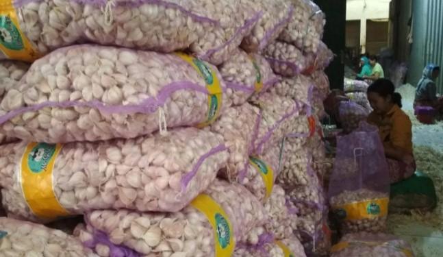 Realisasi Impor Bawang Putih Capai 163 Ribu Ton, Kemendag dan Bapanas Soroti Kendala Harga dan Distribusi