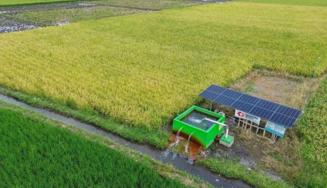 Pemerintah Prioritaskan Infrastruktur Air dalam PSN untuk Dukung Swasembada Pangan
