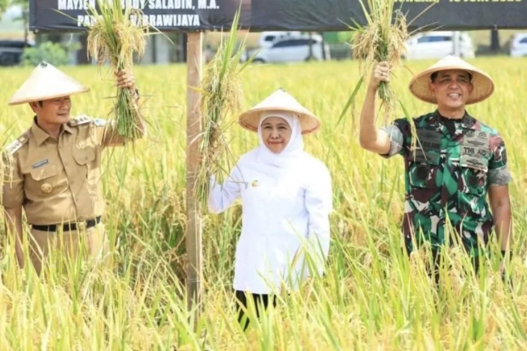 Gubernur Jatim Puji Pertanian Terpadu Kodim Lamongan: Dorong Ketahanan Pangan dan Substitusi Impor