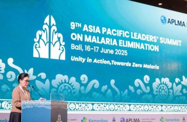 RI Dorong Pembentukan Forum Gubernur Papua untuk Percepat Eliminasi Malaria