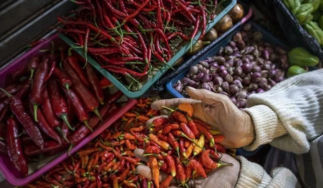 Harga Pangan Nasional 18 Juni 2025: Mayoritas Komoditas Turun, Cabai dan Ikan Naik