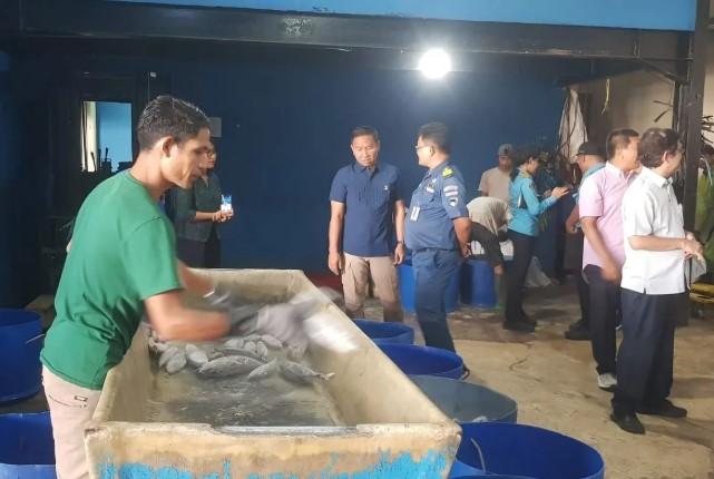 DJP dan Satgassus Polri Bidik Shadow Economy di Sektor SDA, Fokus pada Aktivitas Ilegal