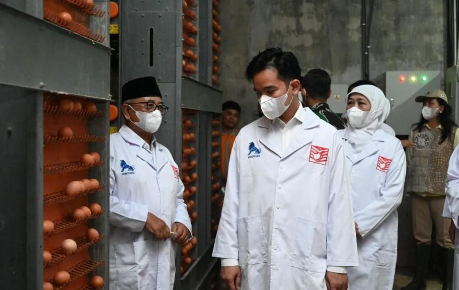 Gibran Dorong Modernisasi Peternakan Rakyat di Blitar untuk Perkuat Ketahanan Pangan Nasional