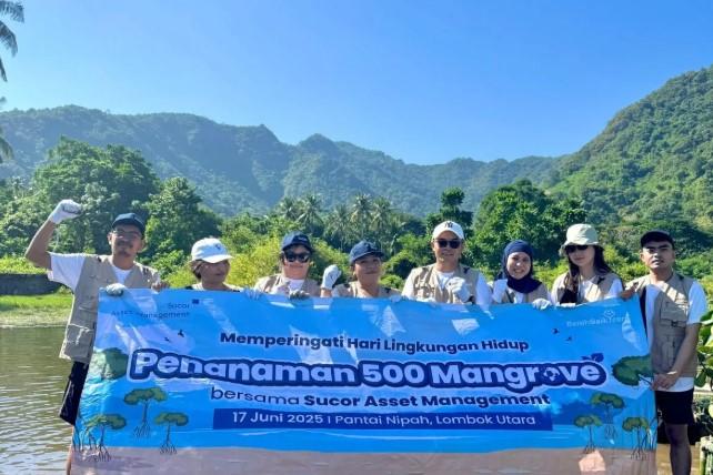 Tanam 500 Mangrove di Lombok, Sucorinvest AM Dorong Investasi Berbasis ESG dan Pemberdayaan Masyarakat