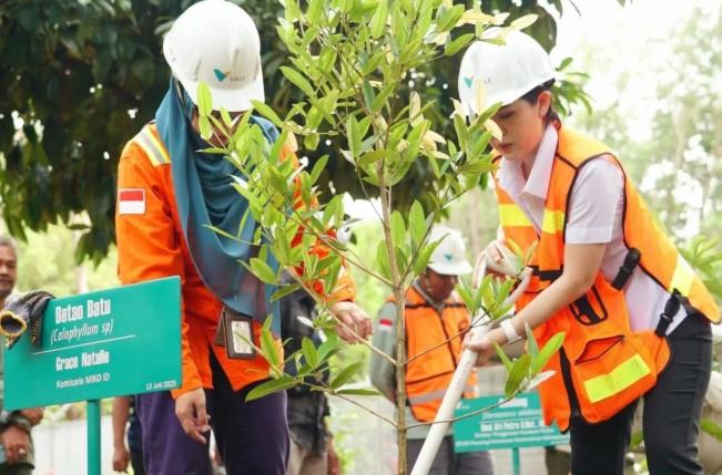 Reforestasi PT Vale Capai 33 Ribu Hektare, Tiga Kali Luas Tambang yang Dibuka