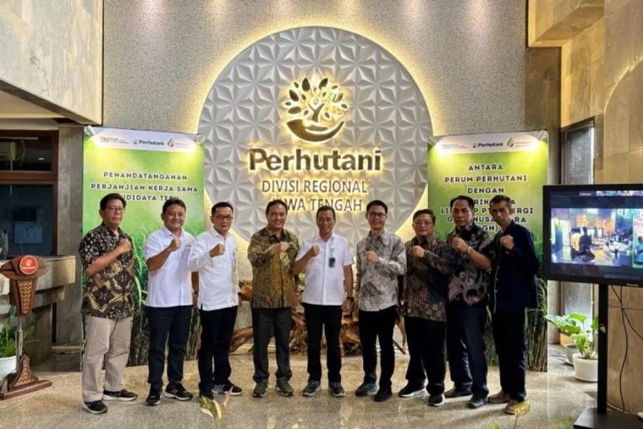 PT SGN dan Perhutani Kerja Sama Budidaya Tebu, Dukung Swasembada Gula dan Ketahanan Energi Nasional