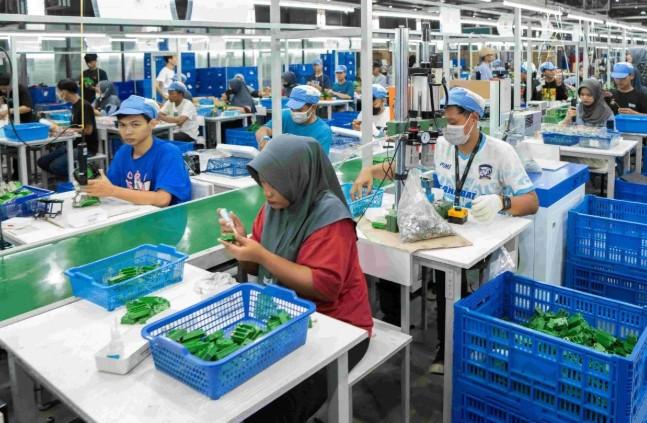 Ekspor Mainan Anak Tembus Rp10 Triliun, Industri Nasional Tunjukkan Daya Saing Global