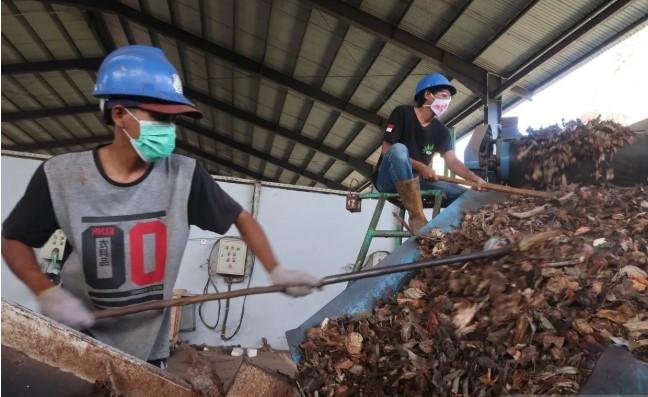Co-Firing Biomassa di Lombok Buka Lapangan Kerja dan Kurangi Limbah Kayu