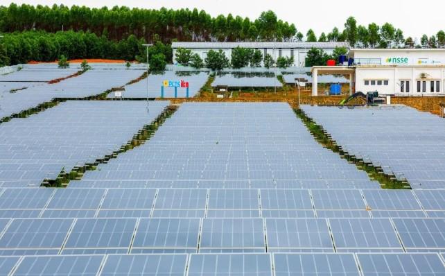 Gandeng Singapura, IKN Bangun PLTS 50 MW untuk Wujudkan Kota Hijau dan Berkelas Dunia