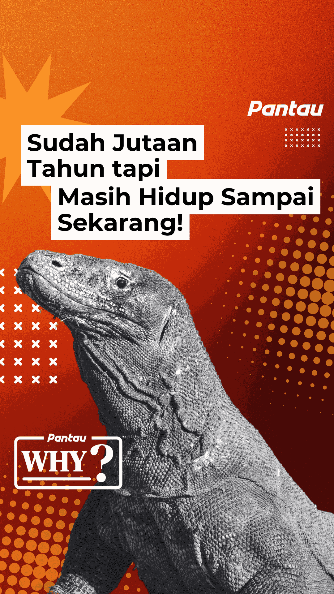 SUDAH JUTAAN TAHUN TAPI MASIH HIDUP SAMPAI SEKARANG!