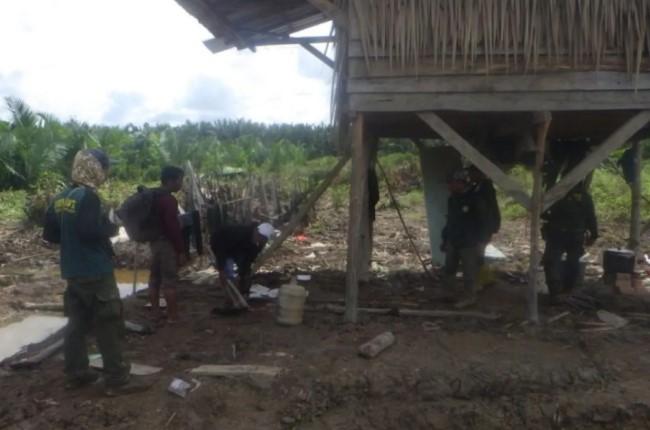 Kementerian Kehutanan Tangkap Pelaku Perambahan Hutan 4 Hektare di Taman Nasional Berbak Sembilang