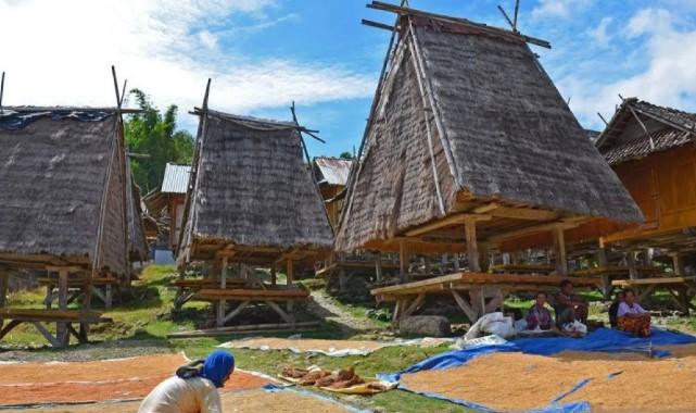 Kementan Gelontorkan Rp7 Miliar untuk Optimasi Lahan Non Rawa di Lombok Tengah Guna Dukung Swasembada Pangan