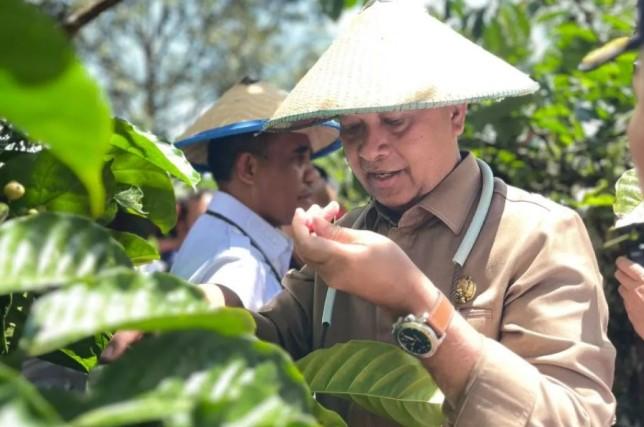 Kementerian Transmigrasi Bangun Koridor Ekonomi Terintegrasi Palu-Sigi-Poso-Parigi Moutong di Sulawesi Tengah