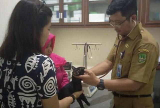 Layanan Puskeswan Batam Membludak, Satu Dokter Layani Seluruh Kota