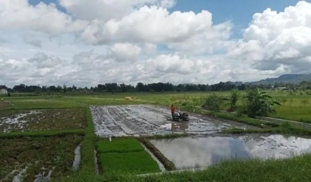 Pemkab Bantul Gratiskan PBB untuk Sawah Berkelanjutan, Lakukan Pemetaan Ulang Lahan Terdampak Alih Fungsi