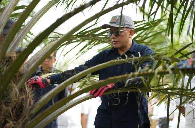 Target ROA 10 Persen, PalmCo Siapkan Strategi Efisiensi dan Inovasi Teknologi untuk Lima Tahun ke Depan