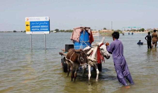 Hujan Monsun Tewaskan 45 Orang di Pakistan, NDMA Imbau Kesiapsiagaan Maksimal