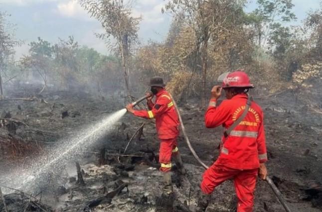Polres Kampar Selidiki Dugaan Pembakaran Sengaja dalam Karhutla 30 Hektare di Tapung