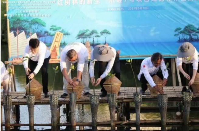 Laporan Riset Bersama Tiongkok-Indonesia Soroti Peran Perusahaan dalam Pelestarian Mangrove