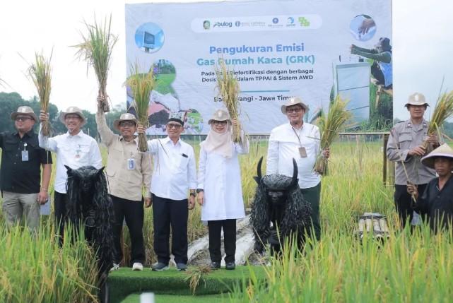 PT Pandawa Agri Indonesia Perkenalkan Teknologi Pertanian Ramah Lingkungan Lewat Proyek Biofortifikasi di Banyuwangi