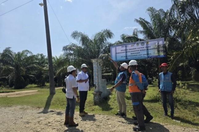 PTPN IV PalmCo dan PLN Gelar Edukasi Keselamatan Panen Sawit, Fokus pada Risiko Bahaya Listrik
