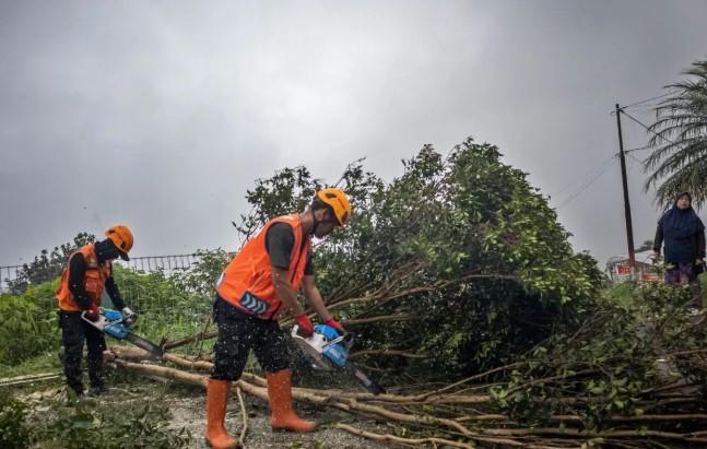 BMKG Prakirakan Hujan Ringan hingga Petir Guyur Sejumlah Kota Besar, Peringatan Angin Kencang di Beberapa Perairan