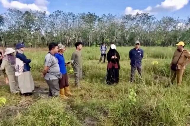 Tim FOLU Norwegia Tinjau Program Rehabilitasi Hutan di Kalsel, Dorong Solusi Air dan Pemasaran Hasil Tani