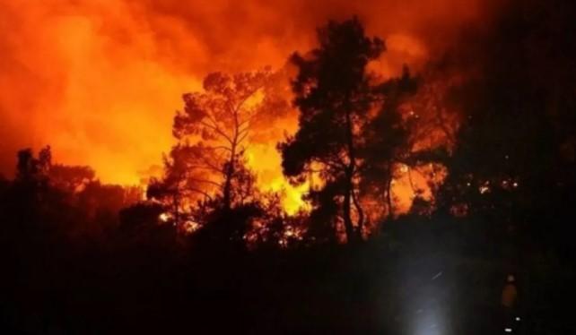 Yunani Umumkan Keadaan Darurat di Ierapetra, Kreta Akibat Kebakaran Hutan Besar