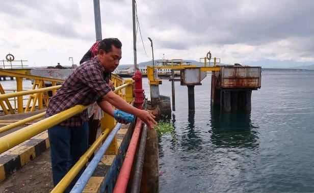 Keluarga Korban KMP Tunu Pratama Jaya Tabur Bunga di Selat Bali, Harap Putra dan Menantu Ditemukan
