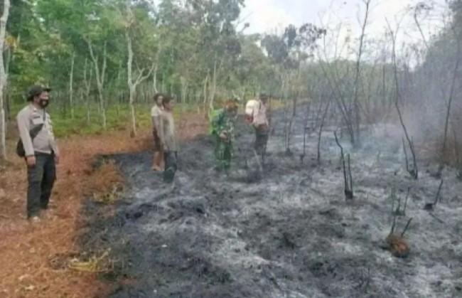 24 Kejadian Karhutla Terjadi di Sumsel hingga Awal Juli, Ogan Ilir Paling Banyak